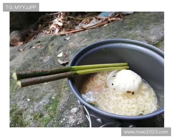 佩德里是否会高开低走：新星成长轨迹与持续性分析